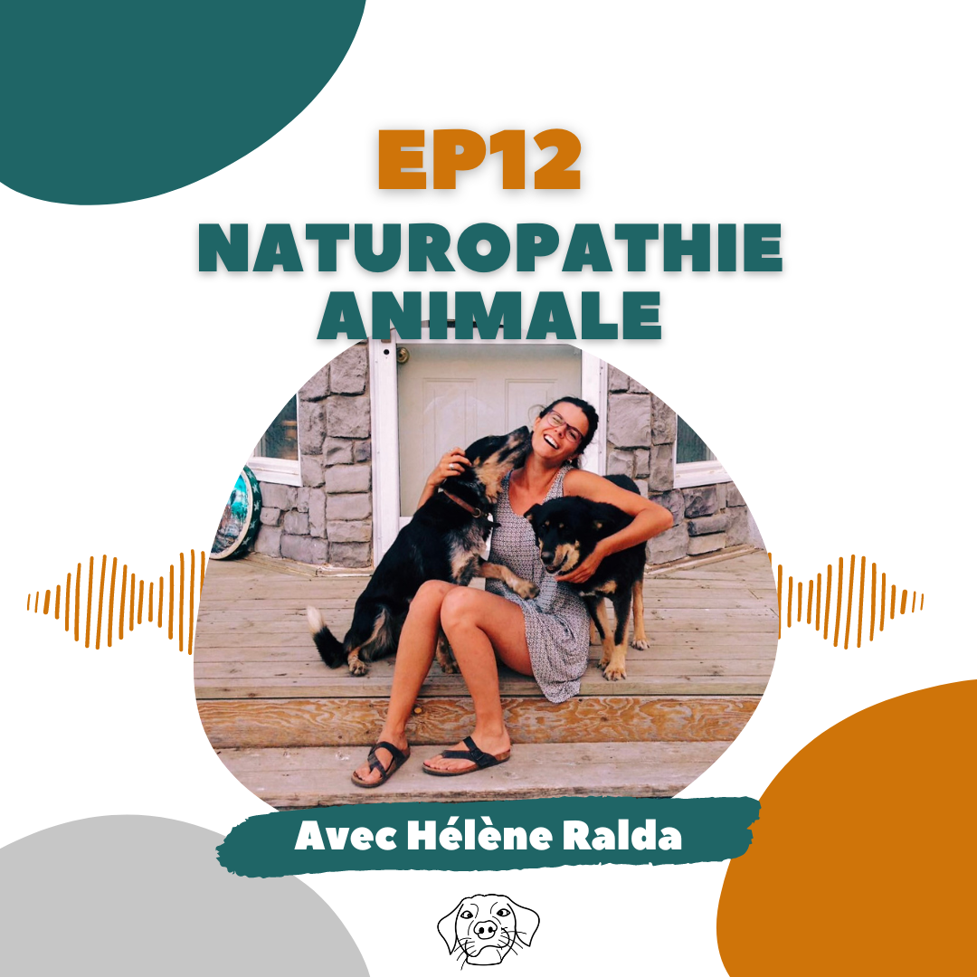 naturopathie animale