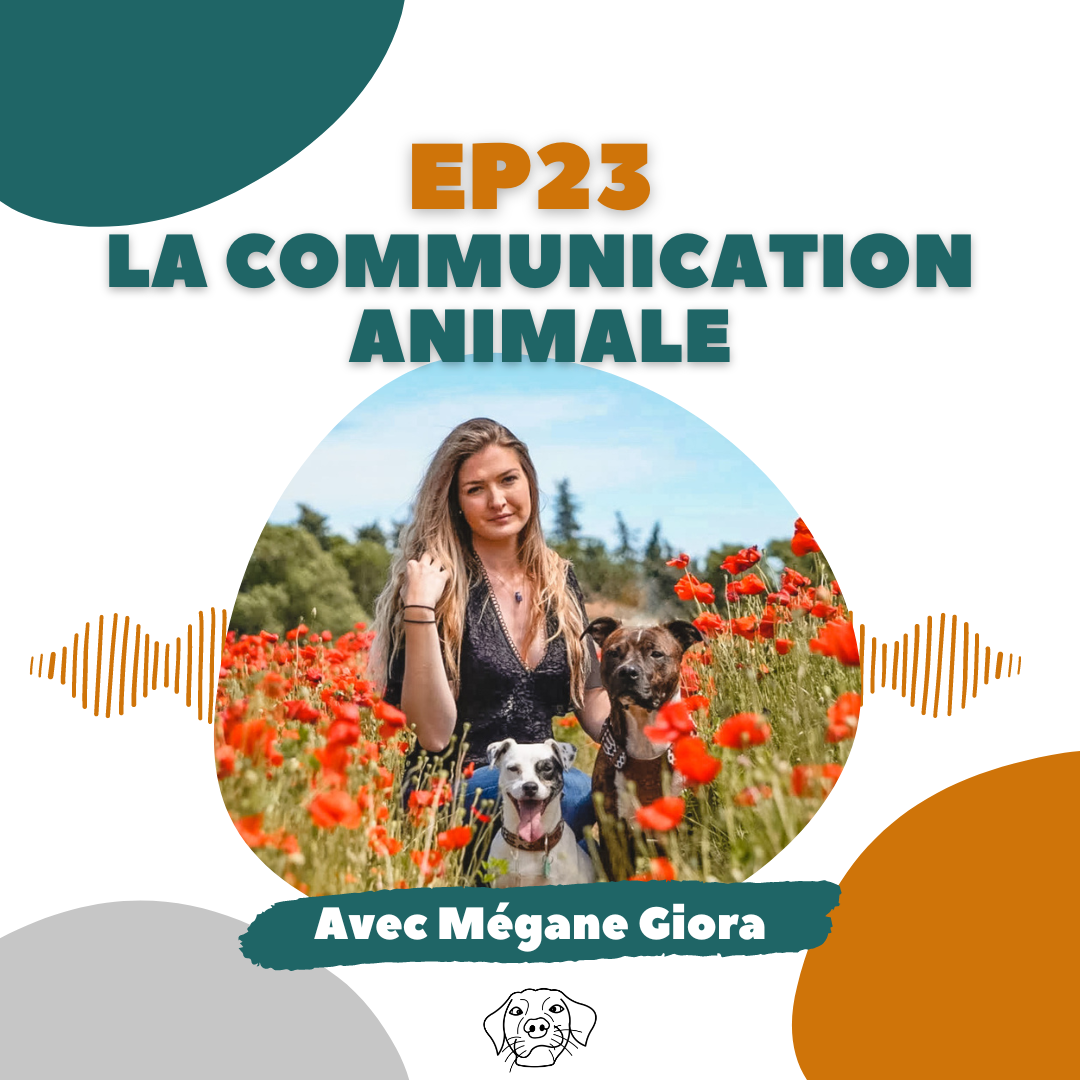 la communication animale