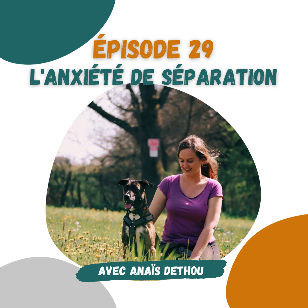 Anais Dethou Anxiété de Séparation Podcast Canin
