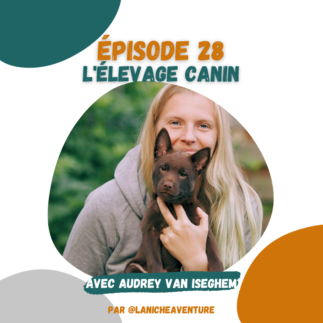 Elevage canin Podcast chien