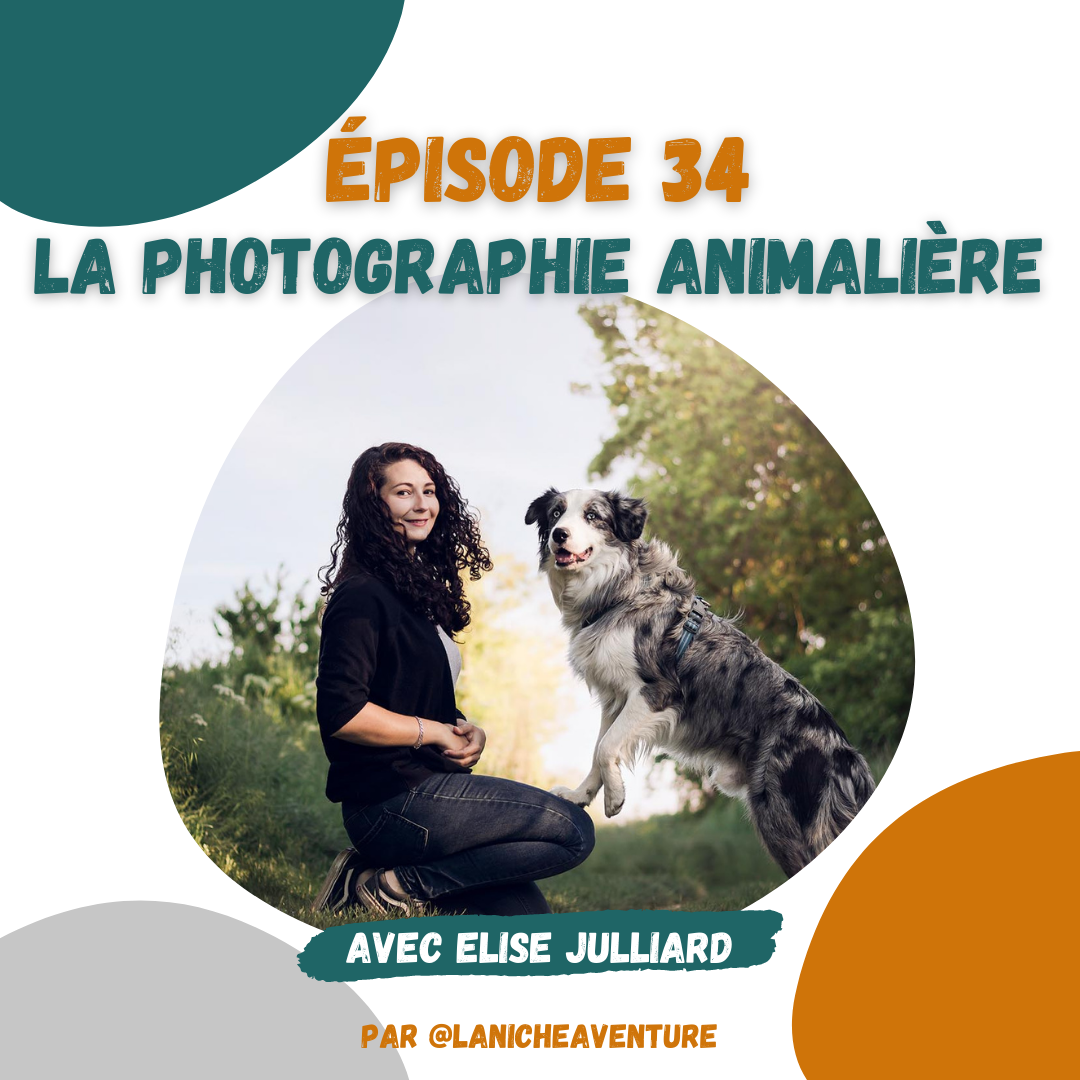 Photographe animalier La Niche Aventure