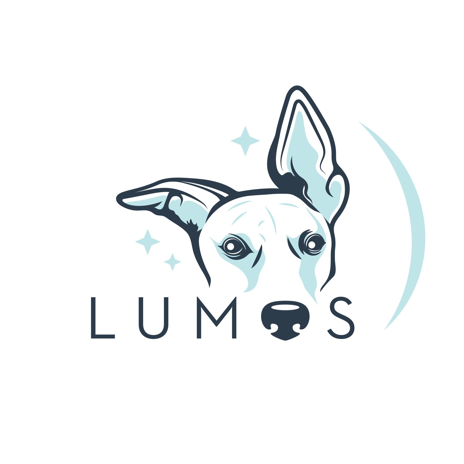 Lumos training