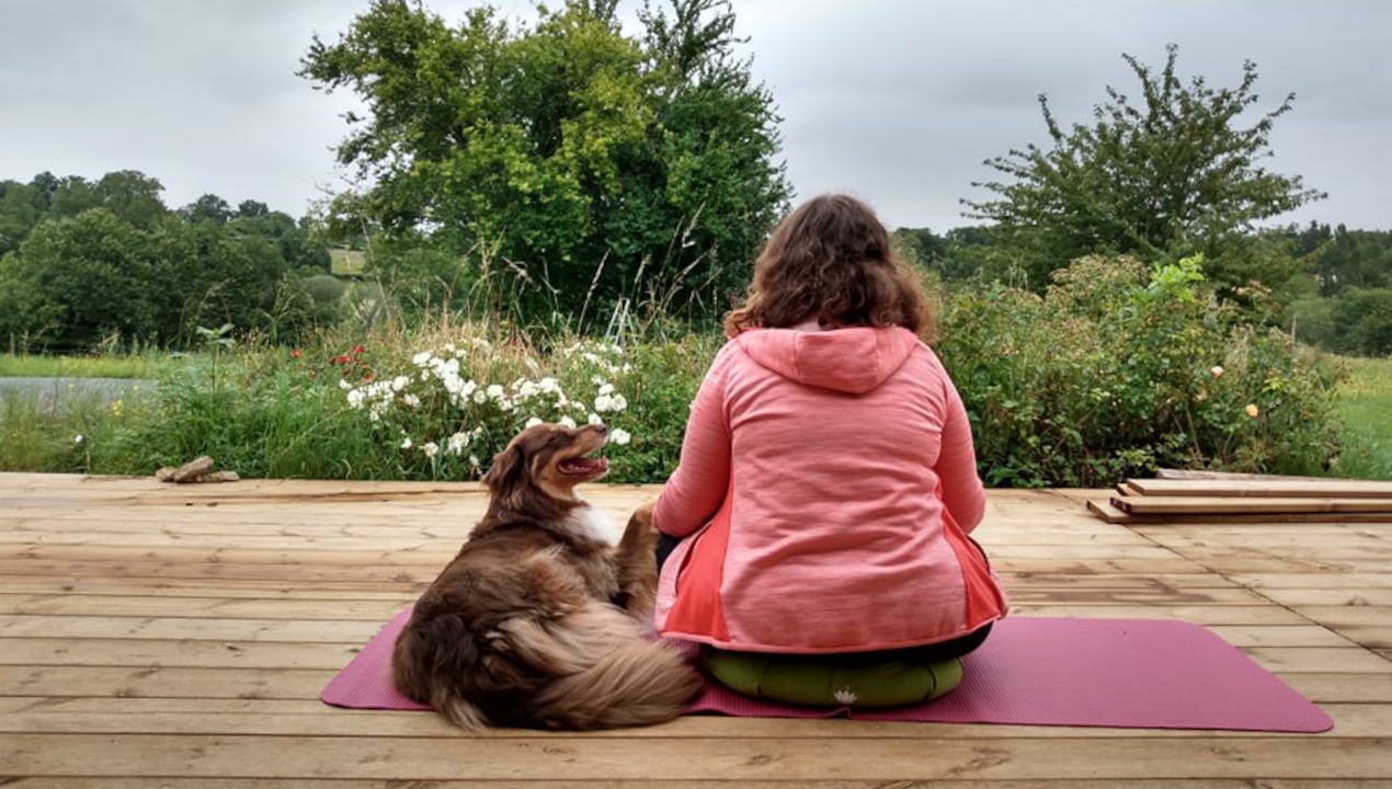 La méditation avec son chien