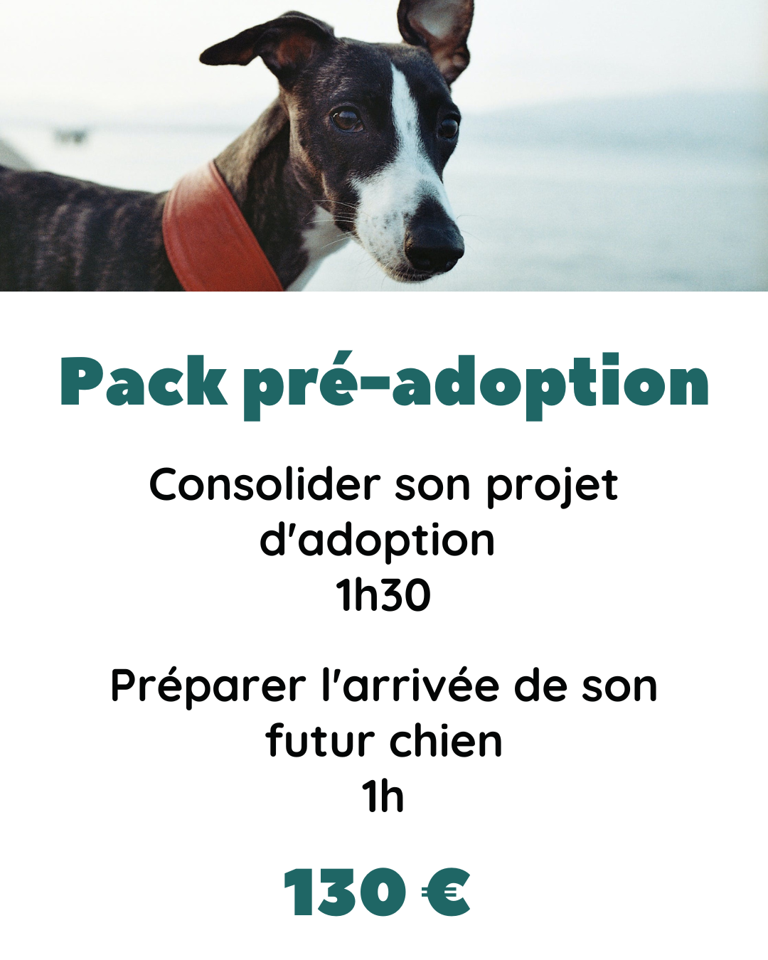Pack pré-adoption