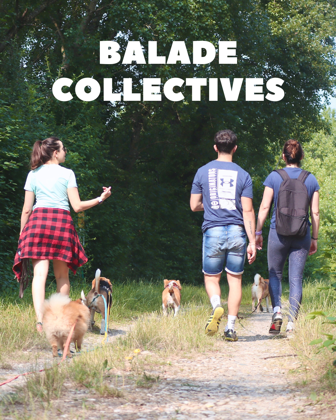 services balade collective