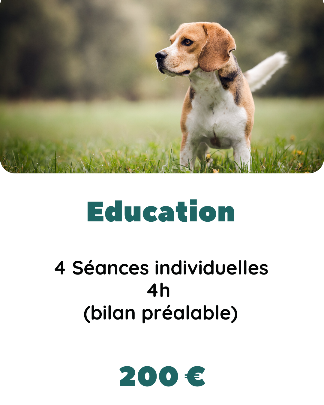 éducation et comportement canin