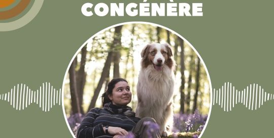 Crowaf La réactivité congénère