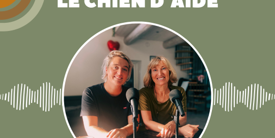 Le chien d'aide