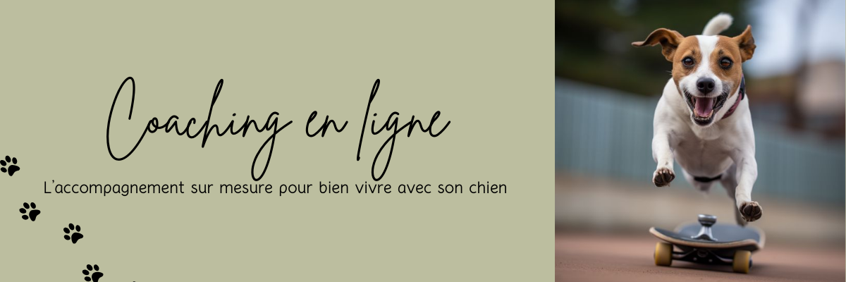Bannière suivi en ligne