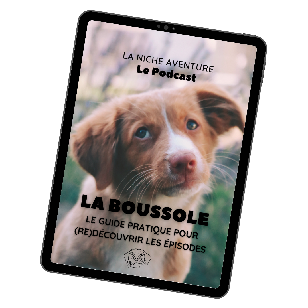 Guide du podcast Guide du podcast
