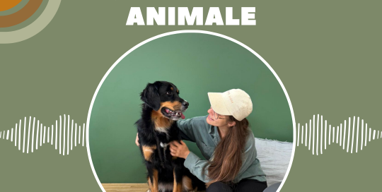 L'ostéopathie animale