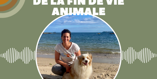 Marie Cibot Solame l'accompagnement de la fin de vie animale