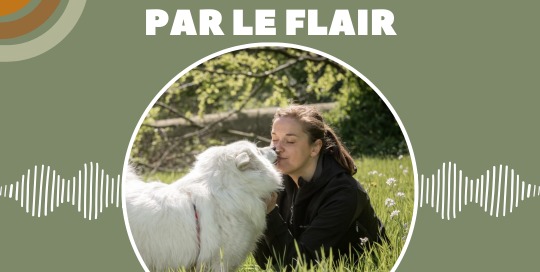La réhabilitation par le flair