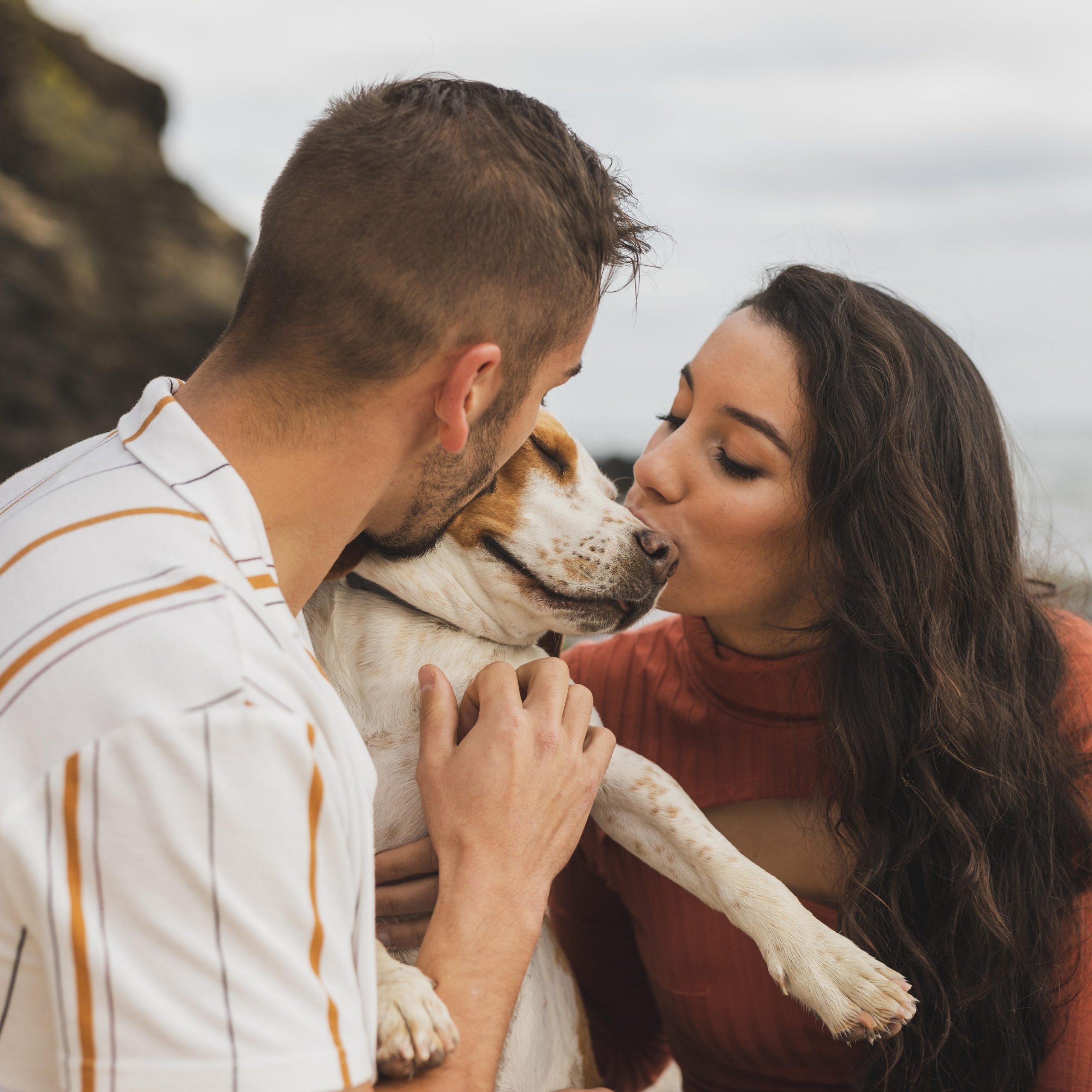 chien-embrasse-par-couple