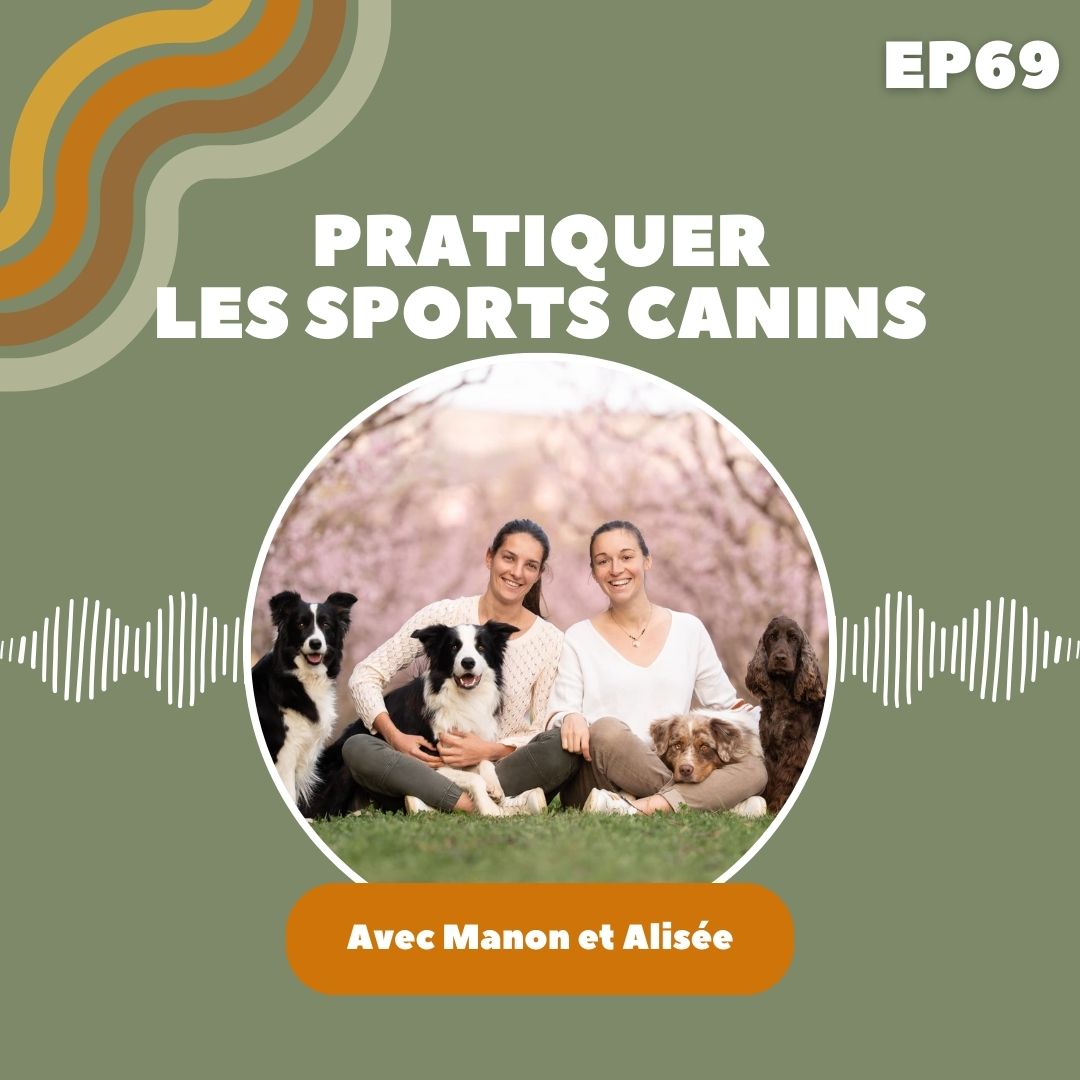 Les sports canins