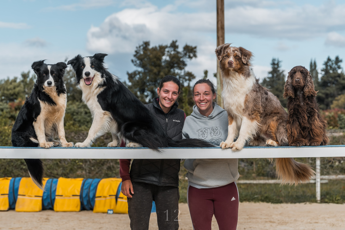 Les sports canins
