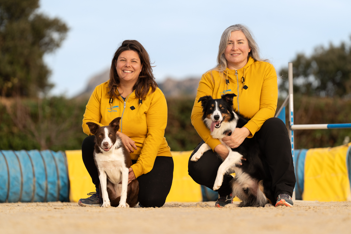 Découvrir l'agility