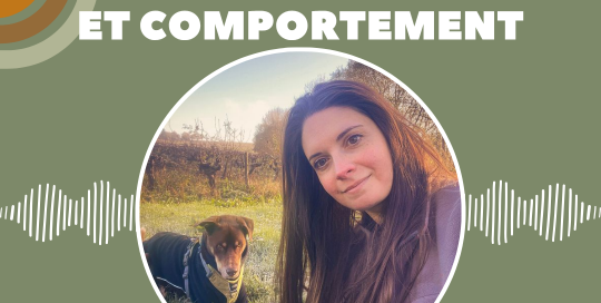 les troubles digestifs