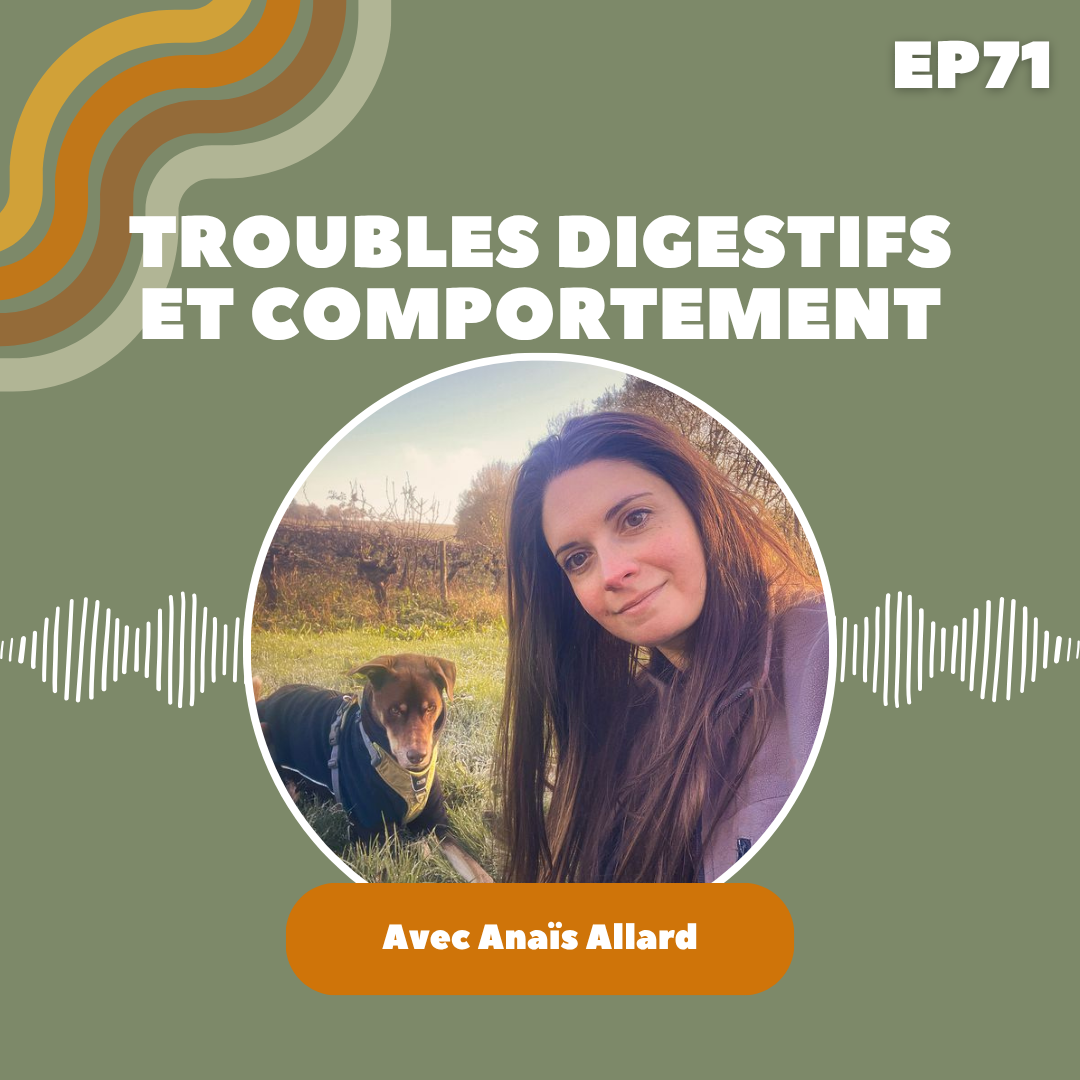 les troubles digestifs