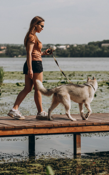 Passe Partout Education canine Istres