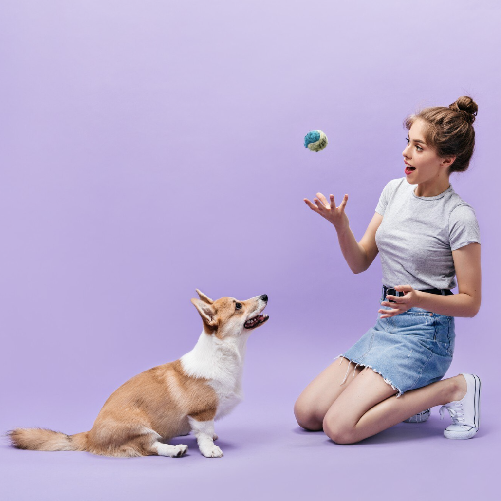 Capture d’écran 2026-01-30 à 15.47.10