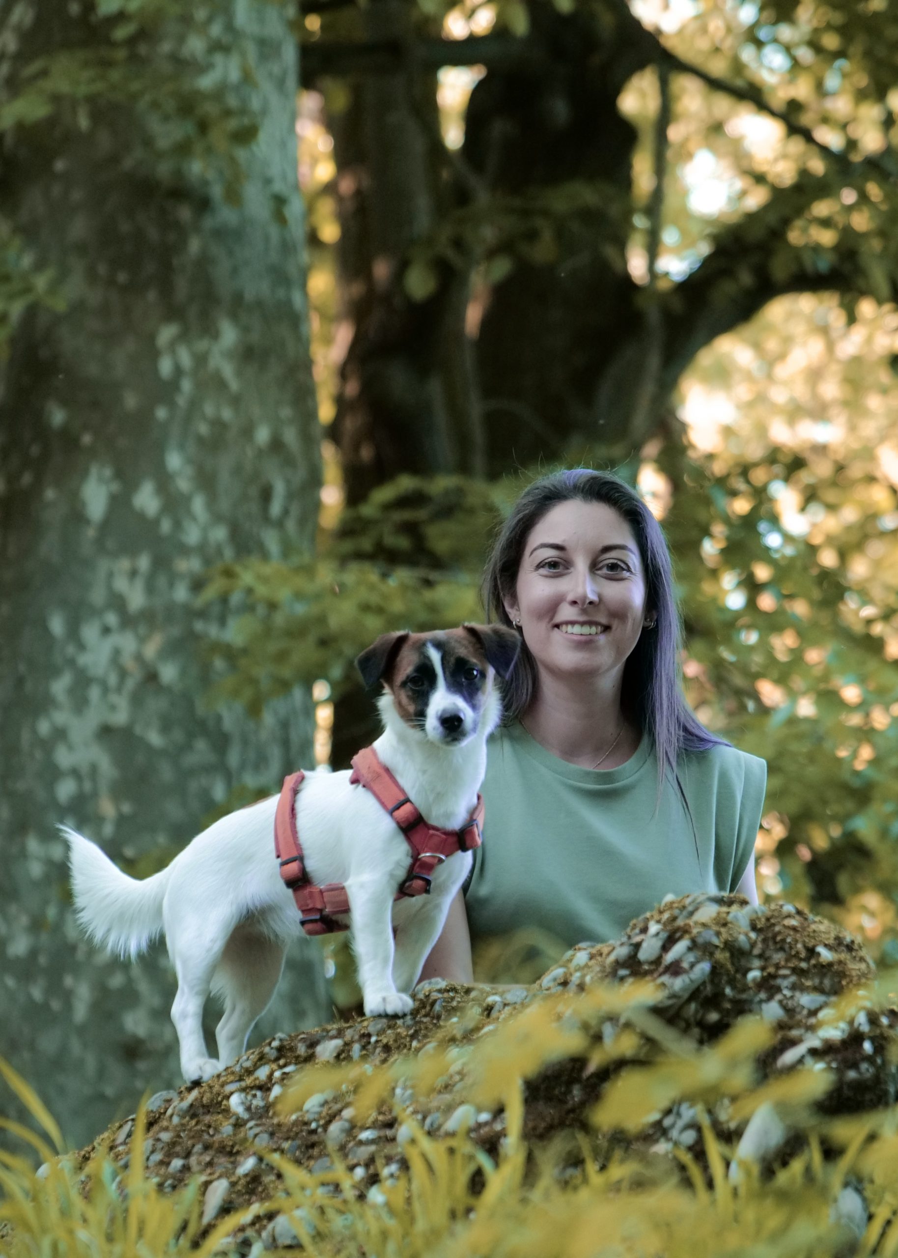 Futur Aventurier - accompagnement pré-adoption