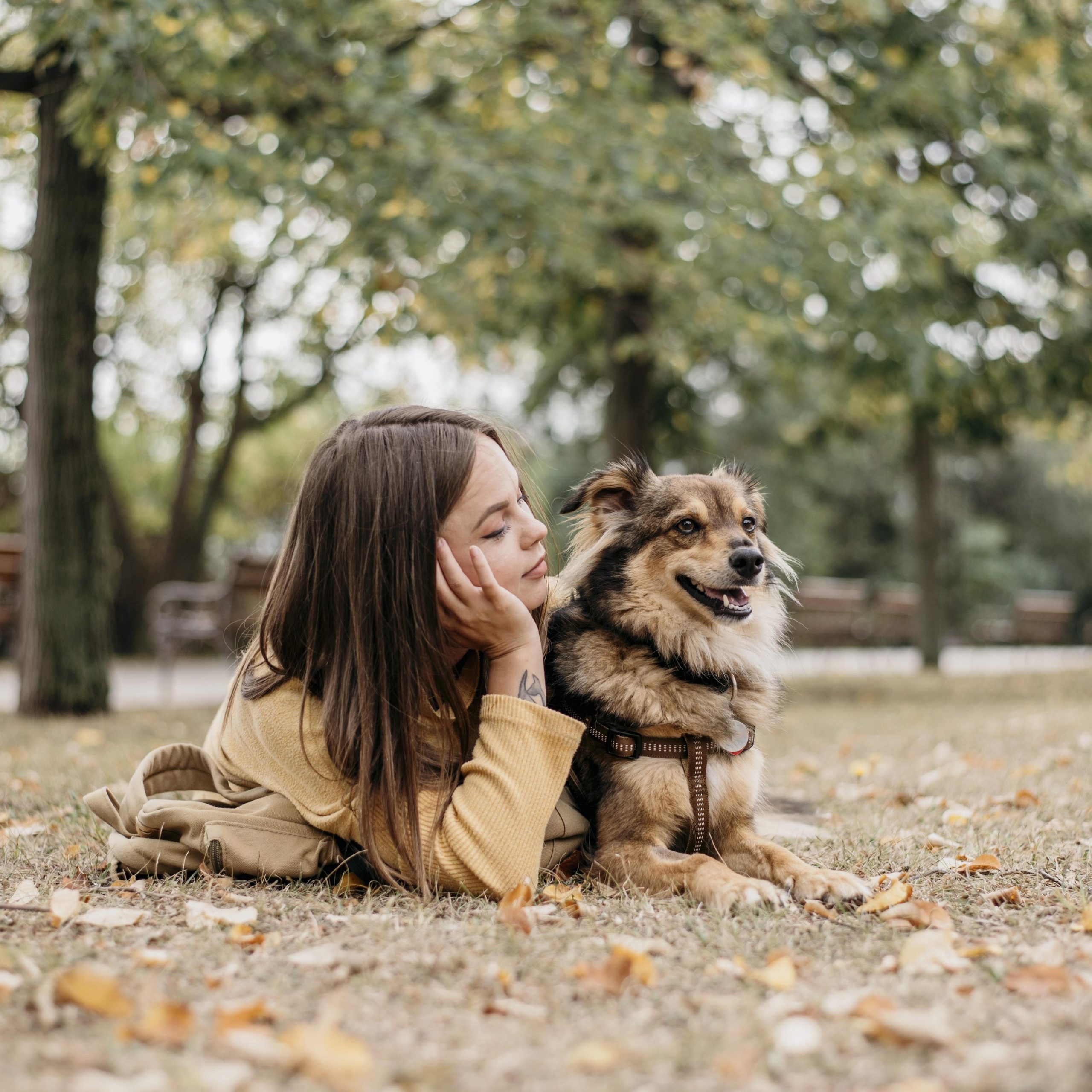 pretty-young-woman-petting-her-dog copie 4 Futur Aventurier