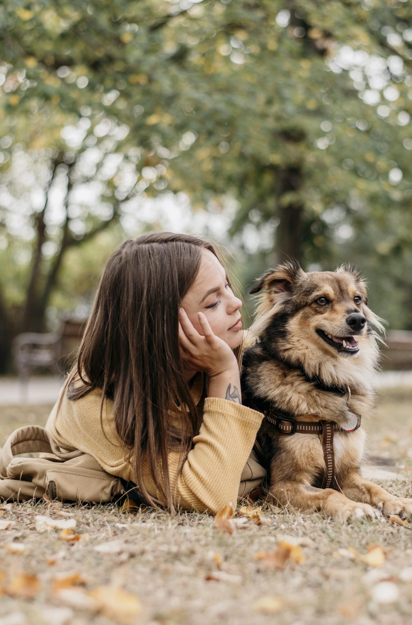 Futur Aventurier - accompagnement pré-adoption