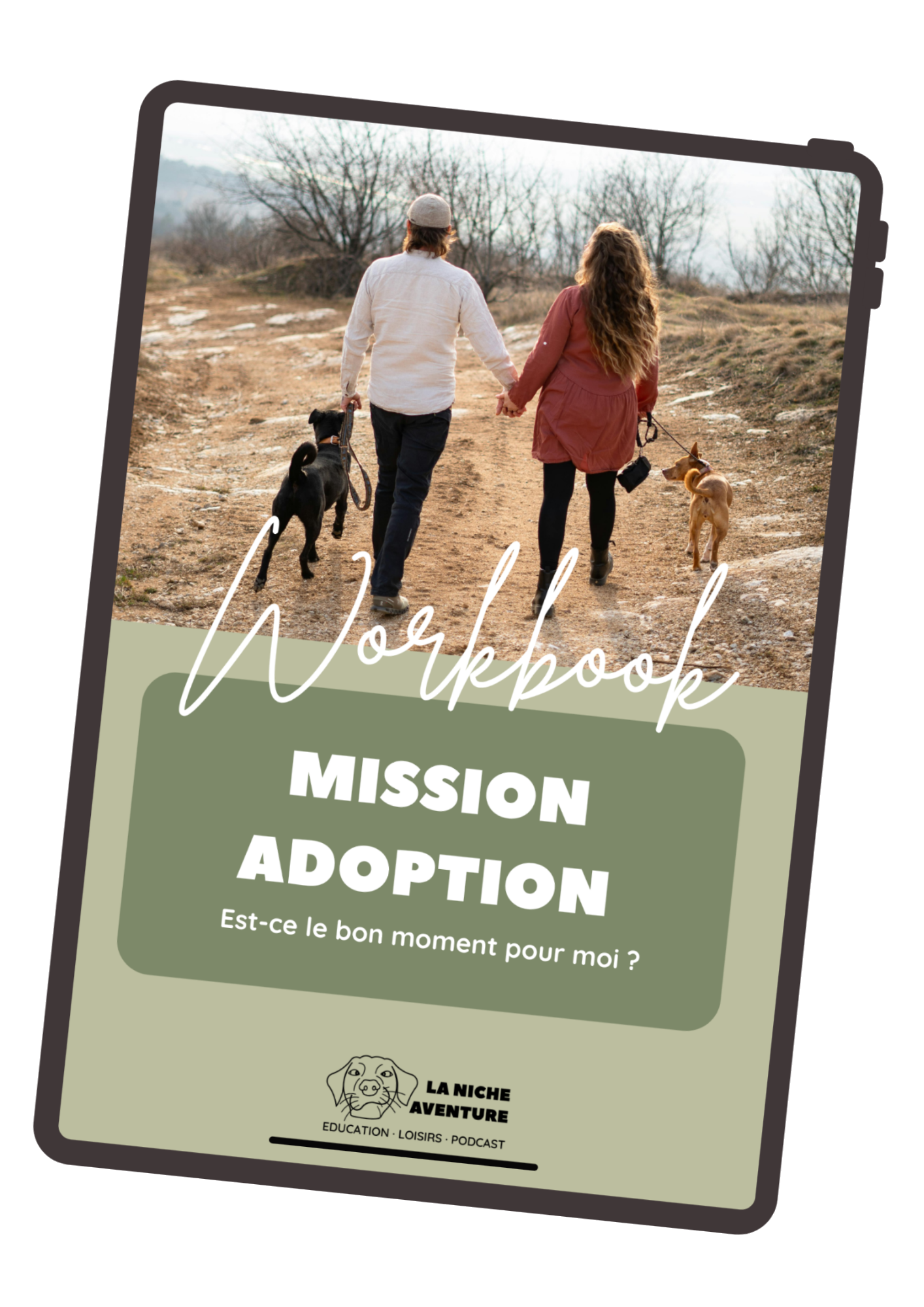 Mission adoption